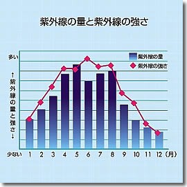 20100430_888999